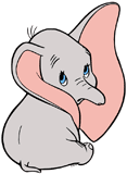 Cute baby Dumbo looking over his shoulder