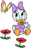 Baby Daisy with a butterfly