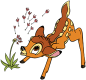 Bambi watching flower petals fly away in the wind