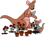 Kanga and Roo gardening roses